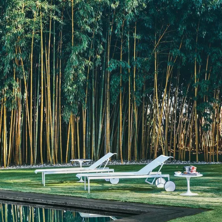 1966 Chaise Longue