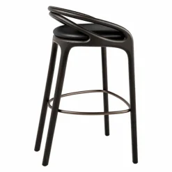Aleta Barkruk