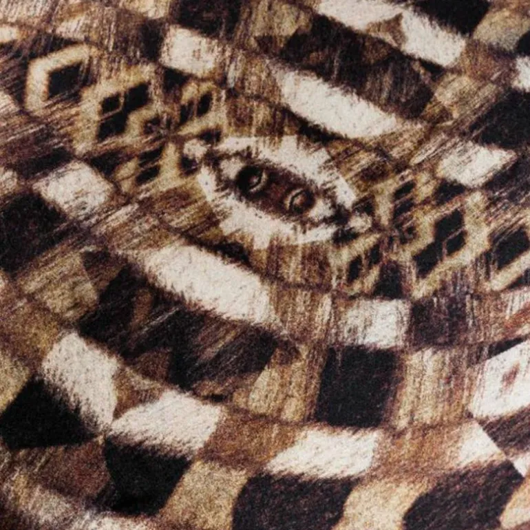 Aristo Quagga Vloerkleed