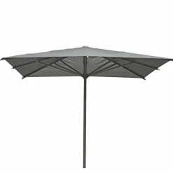 Arizona Parasol