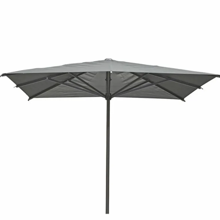 Arizona Parasol