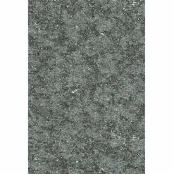 Bearded Leopard Behang Fossil Grey