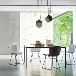 Bertoia Plastic Side Chair