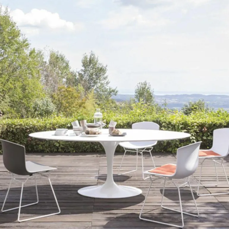 Bertoia Plastic Side Chair