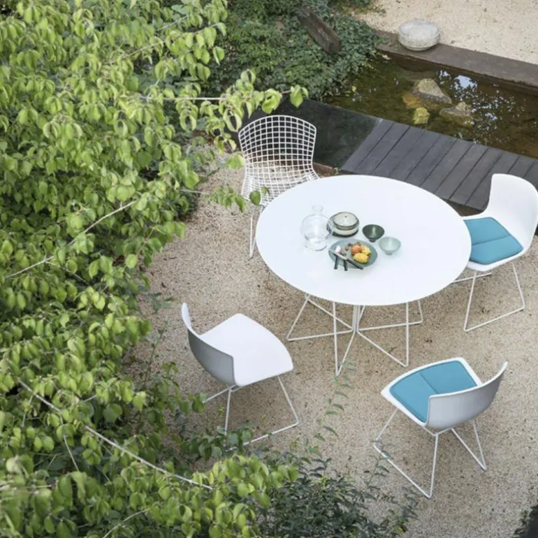 Bertoia Plastic Side Chair