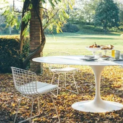 Bertoia Side Chair