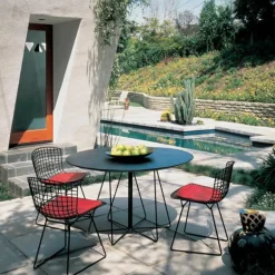 Bertoia Side Chair