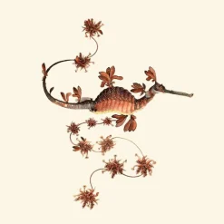 Blooming Seadragon Behang Anthracite