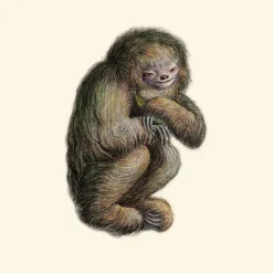 Blushing Sloth Behang Sepia