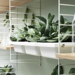 Bowl Shelf Opbergbak