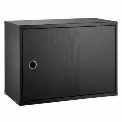 Cabinet with Swing Door