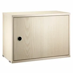 Cabinet with Swing Door