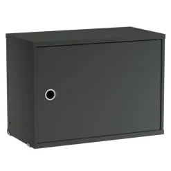 Cabinet with Swing Door