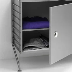 Cabinet with Swing Door