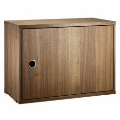 Cabinet with Swing Door