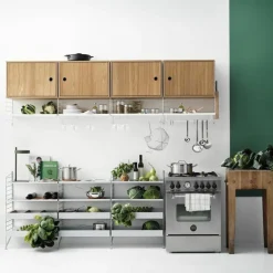 Cabinet with Swing Door