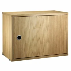 Cabinet with Swing Door