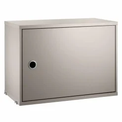 Cabinet with Swing Door