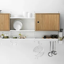 Cabinet with Swing Door
