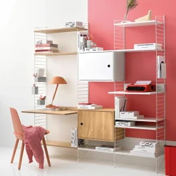 Cabinet with Swing Door