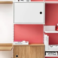 Cabinet with Swing Door