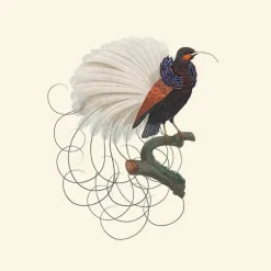 Calligraphy Bird Behang Midnight