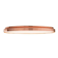 Clara Plafond- en Wandlamp