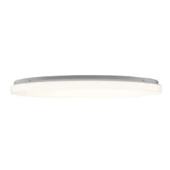 Clara Plafond- en Wandlamp