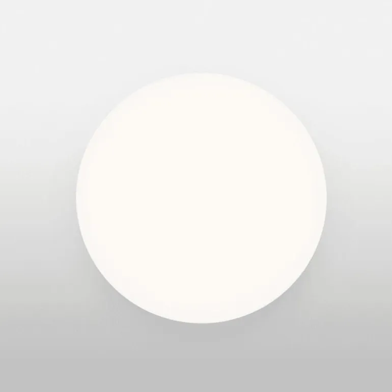 Clara Plafond- en Wandlamp