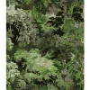 Dioré Behang - Grass