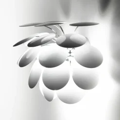Discocó Wandlamp