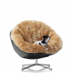 DS-265 Fauteuil