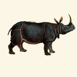Dwarf Rhino Behang Egg Shell