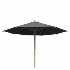 Elena Parasol
