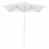 Florida Parasol