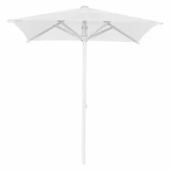 Florida Parasol