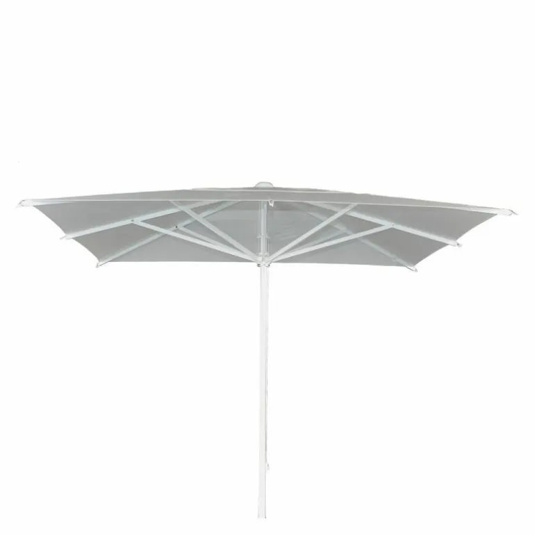 Florida Parasol