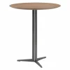 Fly Bartafel