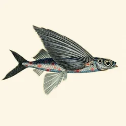 Flying Coral Fish Behang Pacific Blue