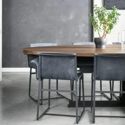 Founded Stoel