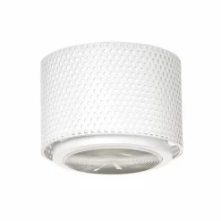 G13 Lamp