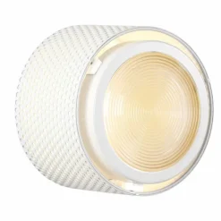 G13 Lamp