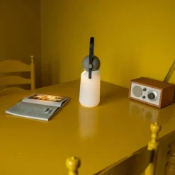 Guidelight Lamp