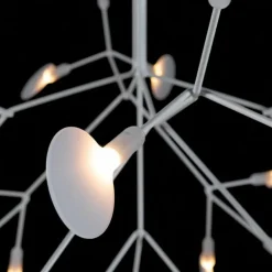 Heracleum III Hanglamp