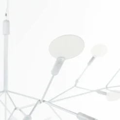 Heracleum III Hanglamp
