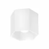 Hexo 1.0 Plafondlamp