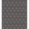 Hicks' Hexagon Behang