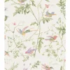 Hummingbirds Behang