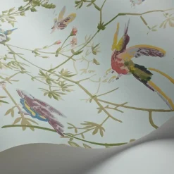 Hummingbirds Behang