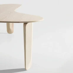 Kuyu Salontafel